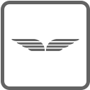 Icon - Wings
